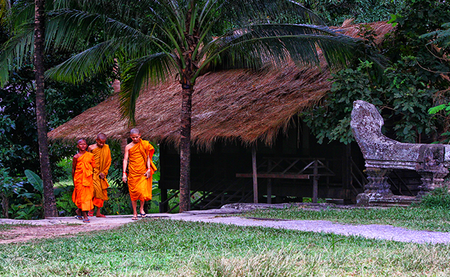 Cultural & Wildlife Tours of Cambodia - Tour B (Tour B)