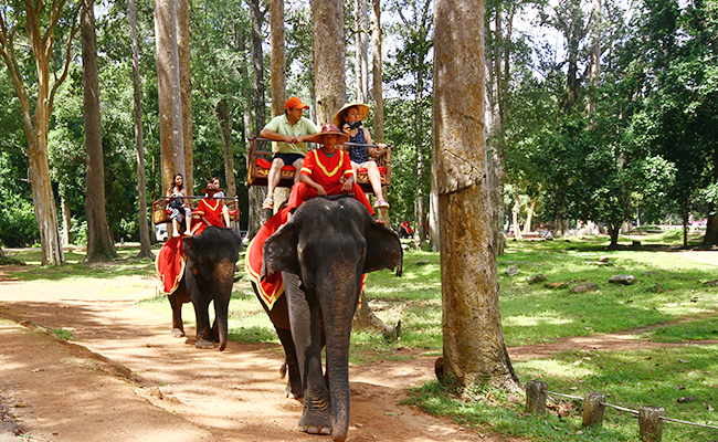 The Imperial Garden Villa & Hotel